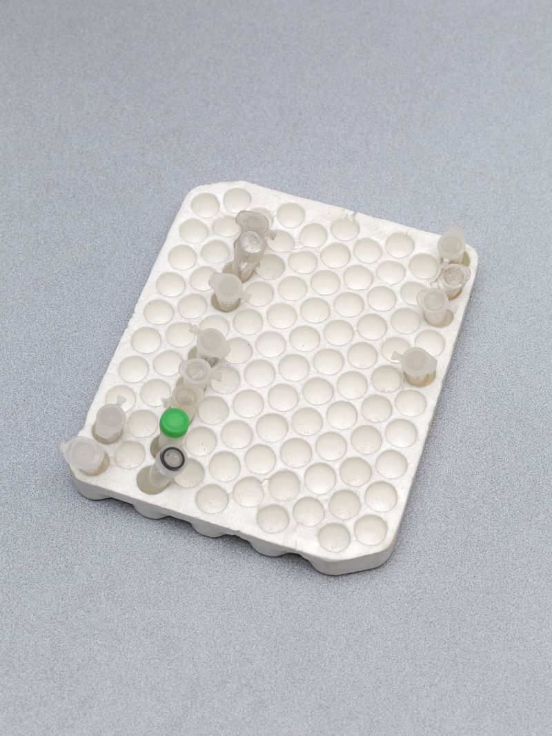 © Greta Valente - Image from the It takes all kinds photography project