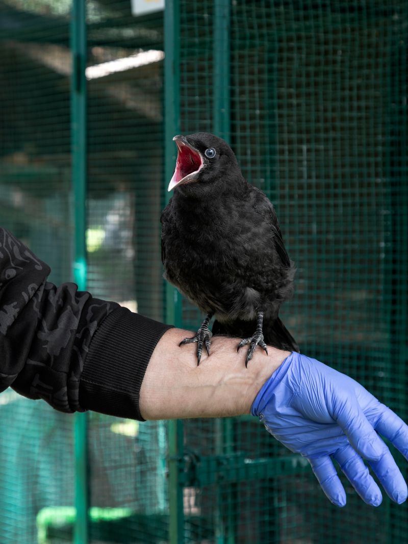 © Greta Valente - Image from the It takes all kinds photography project