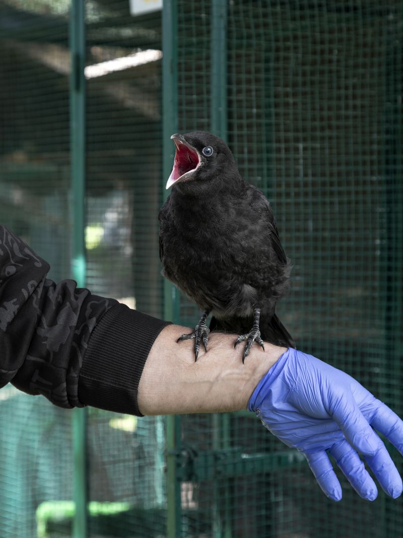 © Greta Valente - Image from the It takes all kinds photography project