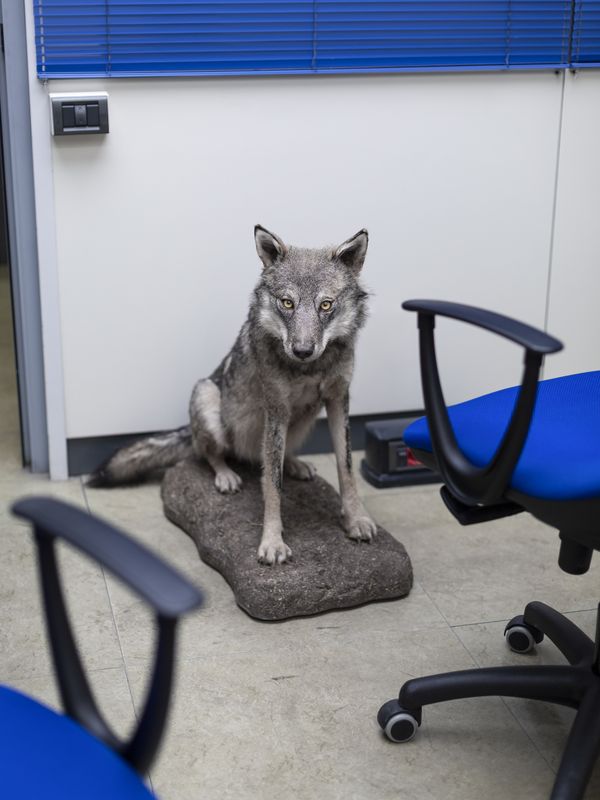 © Greta Valente - Image from the It takes all kinds photography project