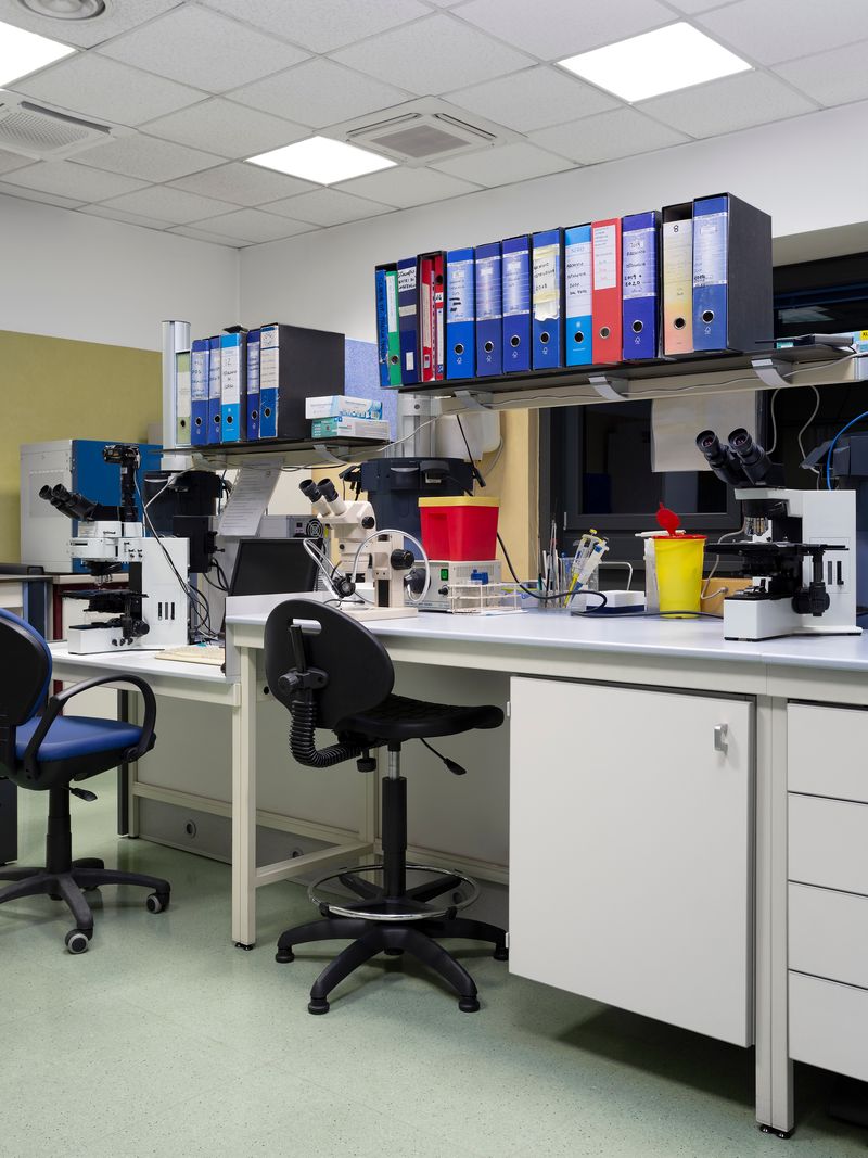 © Greta Valente - Image from the It takes all kinds photography project