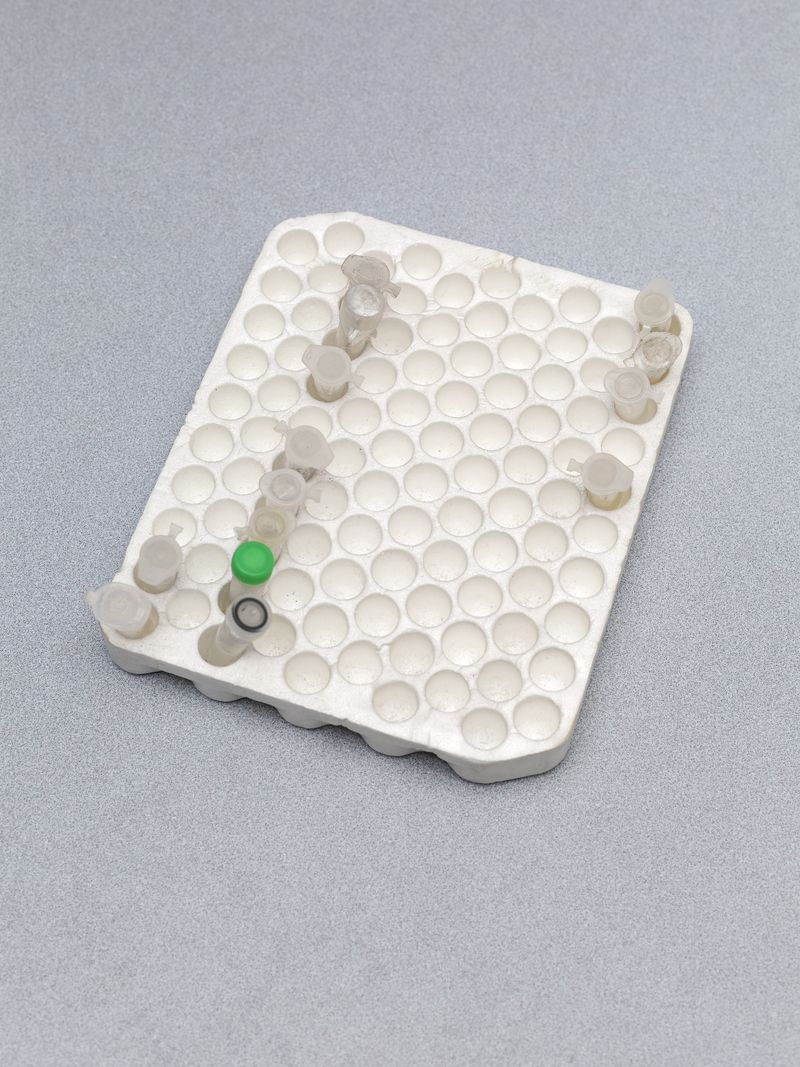 © Greta Valente - Image from the It takes all kinds photography project