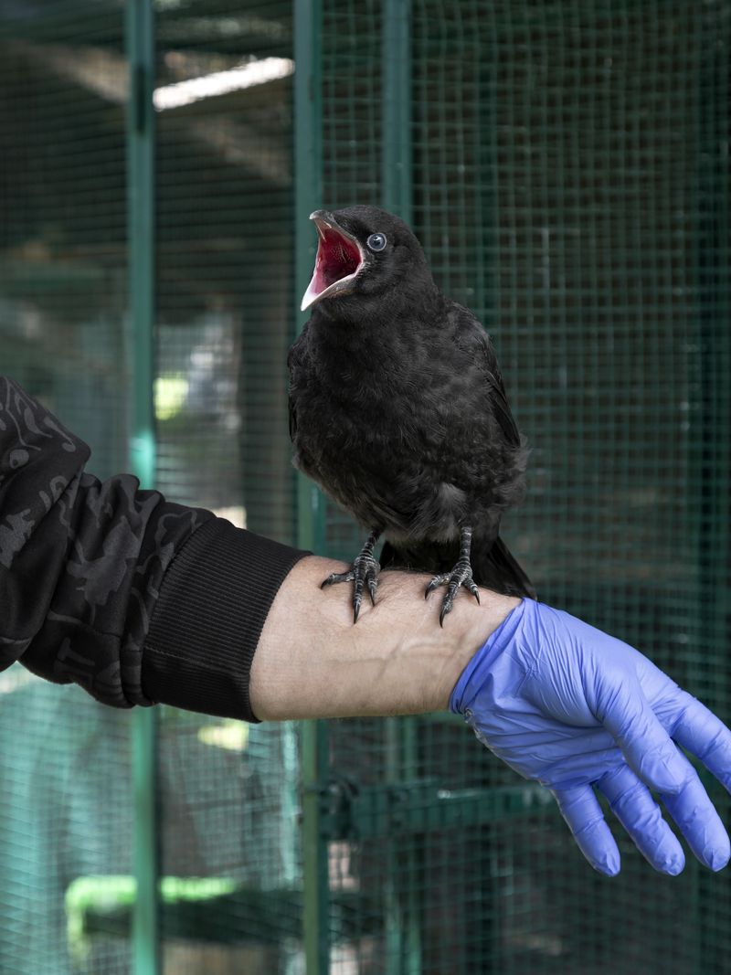 © Greta Valente - Image from the It takes all kinds photography project