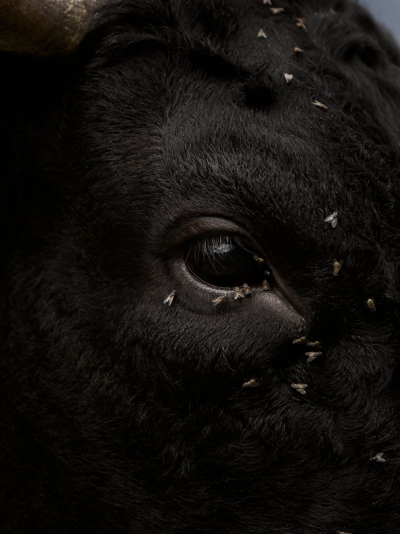 © Greta Valente - Image from the It takes all kinds photography project