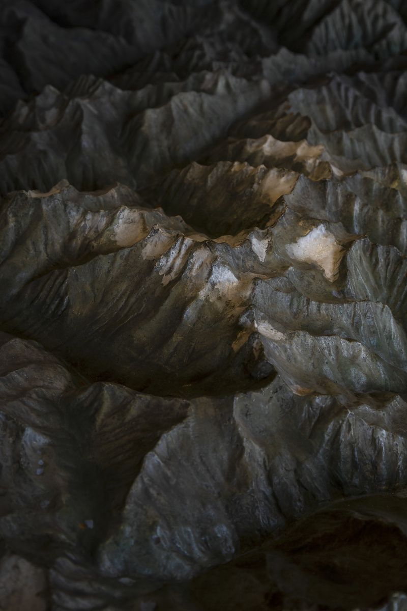 © Greta Valente - Image from the It takes all kinds photography project