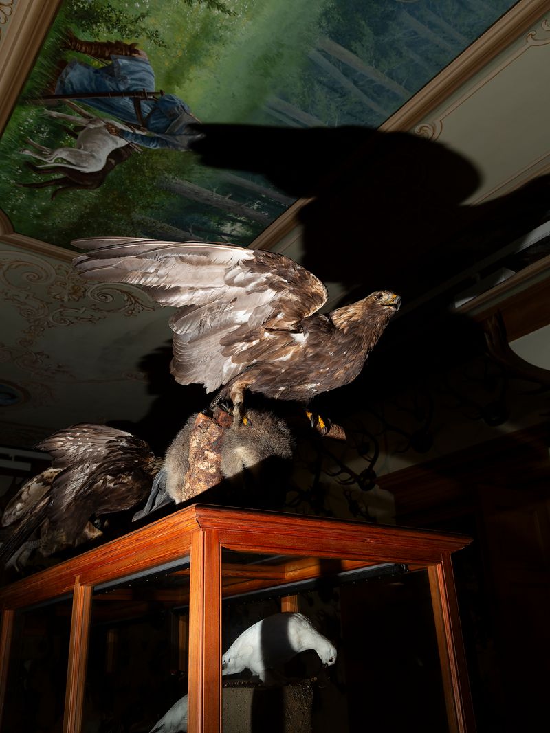 © Greta Valente - Image from the It takes all kinds photography project