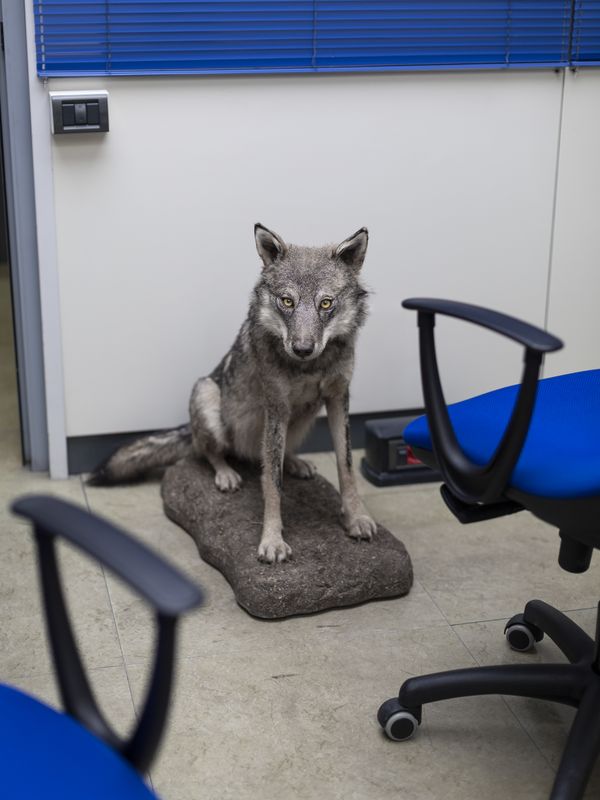 © Greta Valente - Image from the It takes all kinds photography project