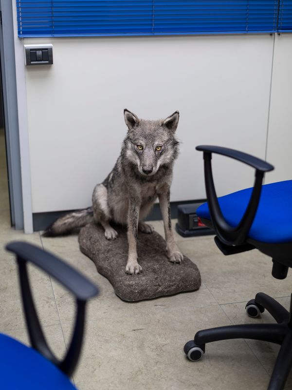 © Greta Valente - Image from the It takes all kinds photography project