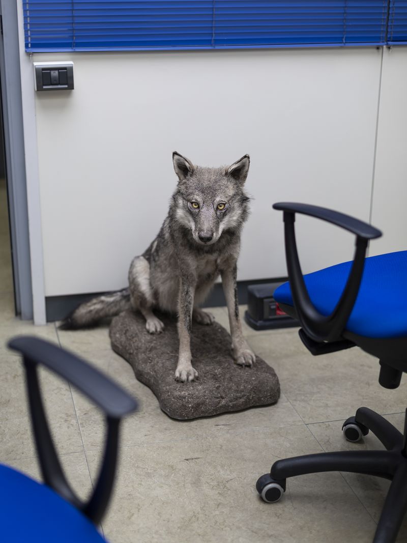 © Greta Valente - Image from the It takes all kinds photography project