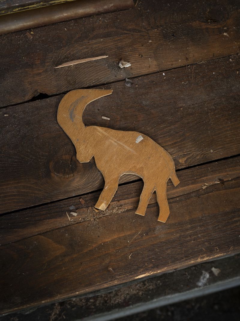 © Greta Valente - Image from the It takes all kinds photography project