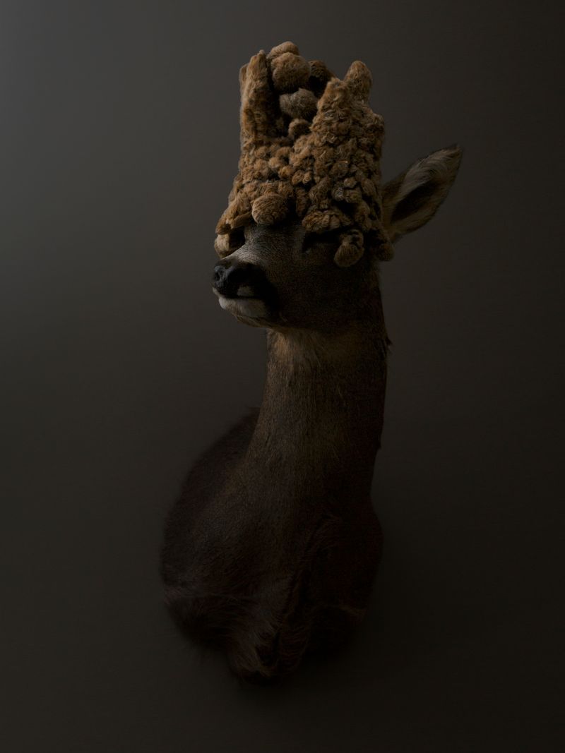 © Greta Valente - Image from the It takes all kinds photography project