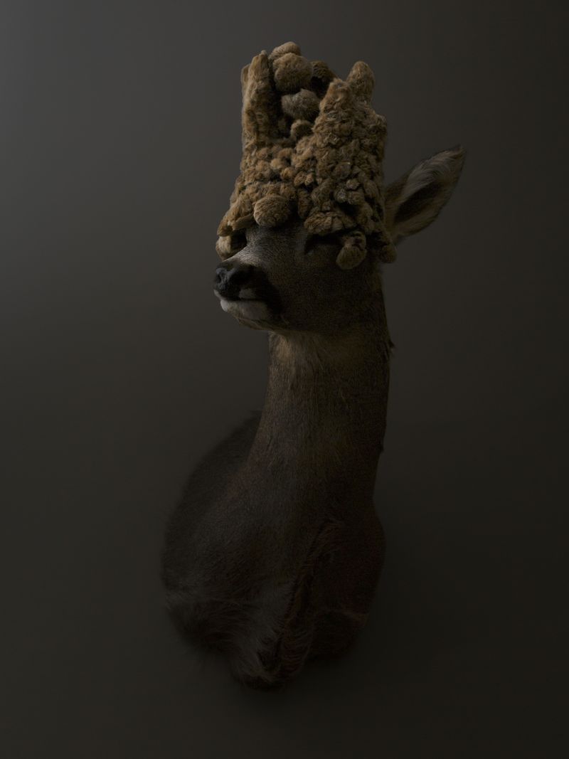 © Greta Valente - Image from the It takes all kinds photography project