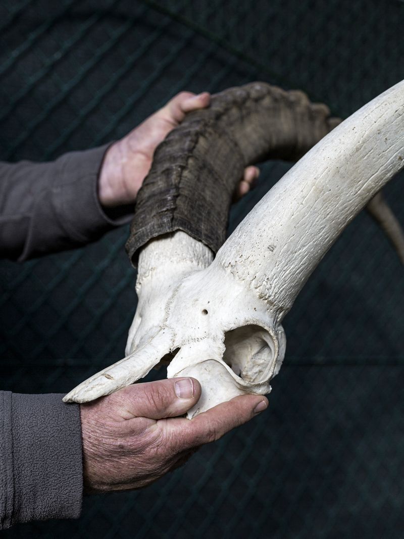 © Greta Valente - Image from the It takes all kinds photography project