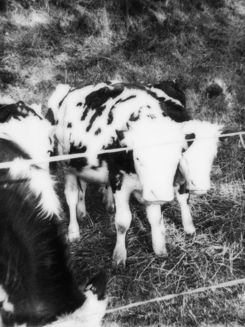 © Greta Valente - Image from the Y è pi de ten que de via photography project