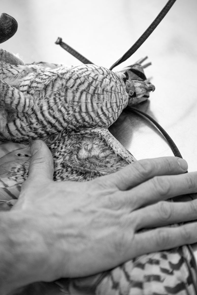 © Greta Valente - Image from the Y è pi de ten que de via photography project