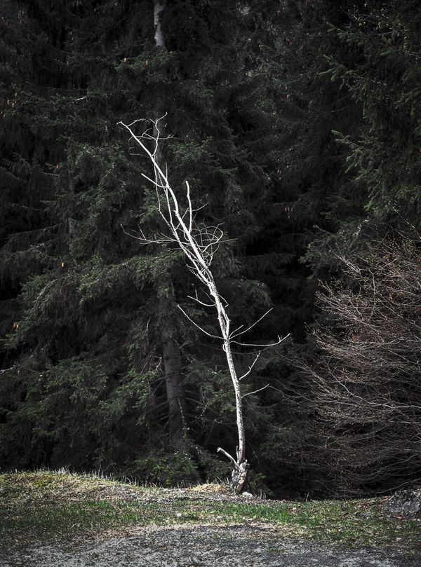 © Greta Valente - Image from the Y è pi de ten que de via photography project
