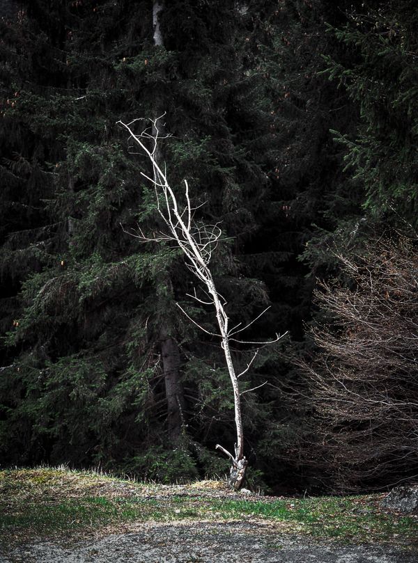 © Greta Valente - Image from the Y è pi de ten que de via photography project