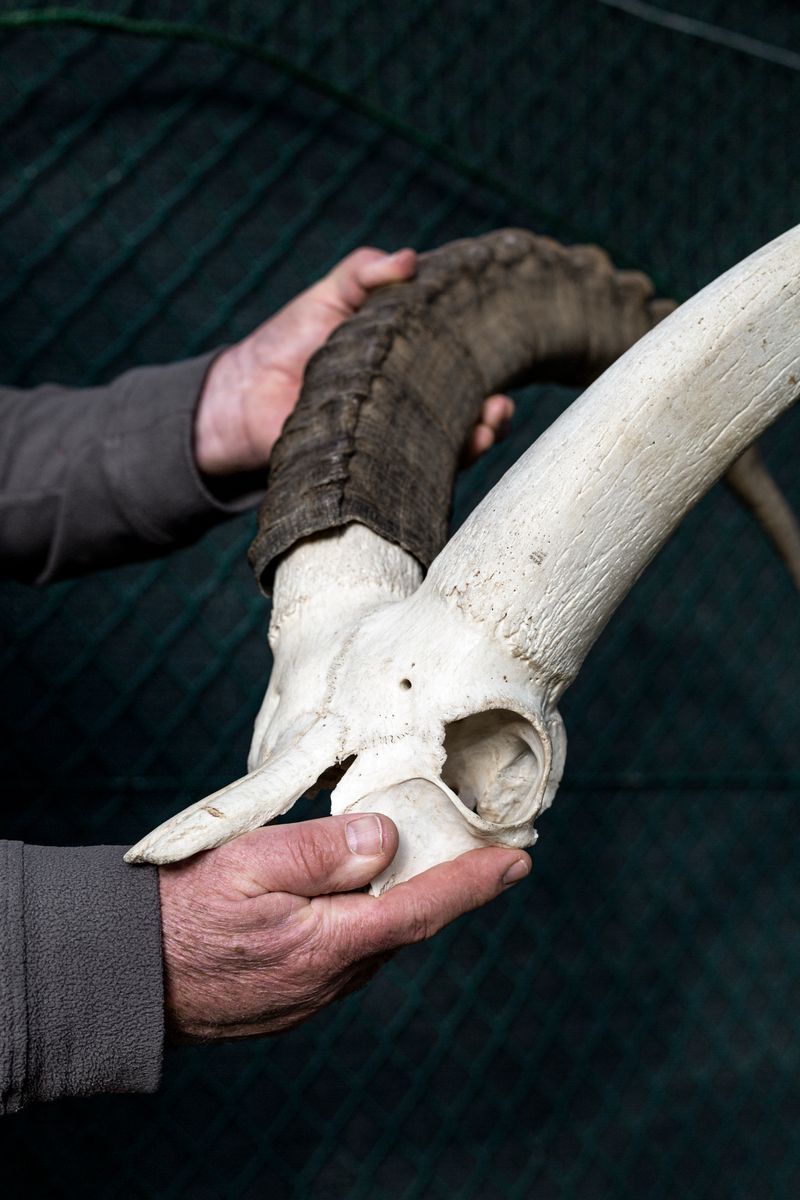 © Greta Valente - Image from the Y è pi de ten que de via photography project