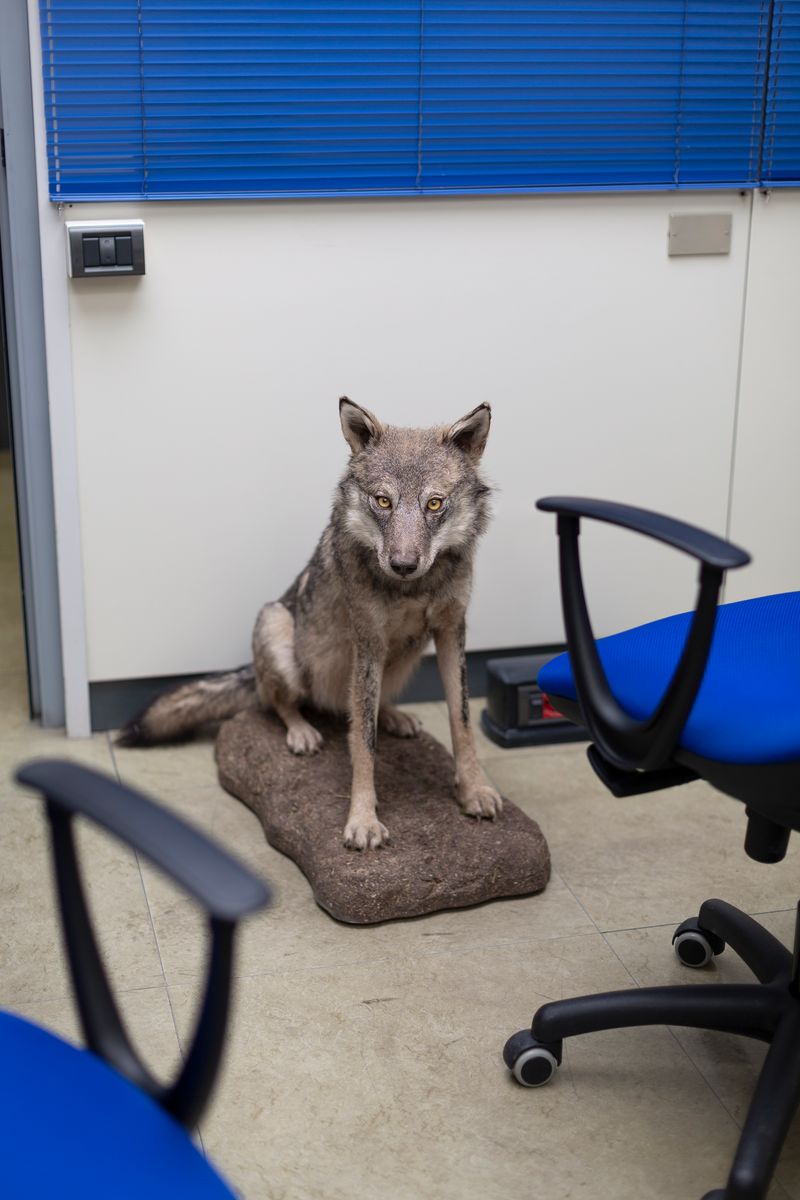 © Greta Valente - Image from the Y è pi de ten que de via photography project