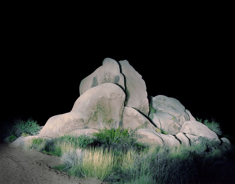 © Austin Irving - Joshua Tree National Park No. 1 - 4×5 Color Negative – Archival Lightjet Print on Dibond