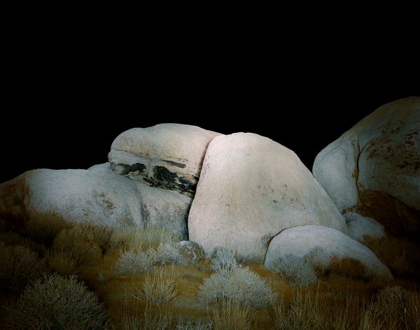 © Austin Irving - Joshua Tree National Park No. 2 - 4×5 Color Negative – Archival Lightjet Print on Dibond