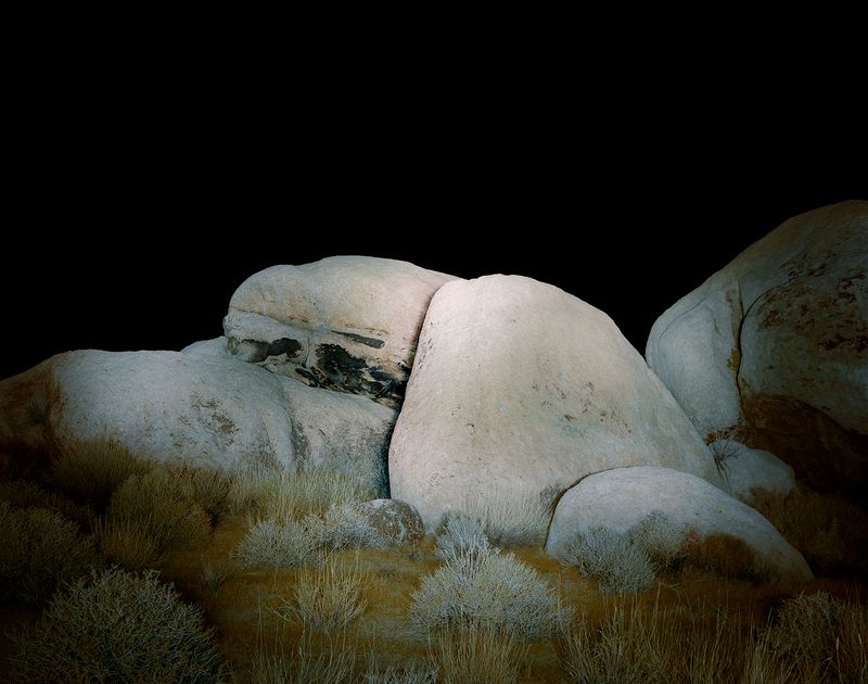 © Austin Irving - Joshua Tree National Park No. 2 - 4×5 Color Negative – Archival Lightjet Print on Dibond