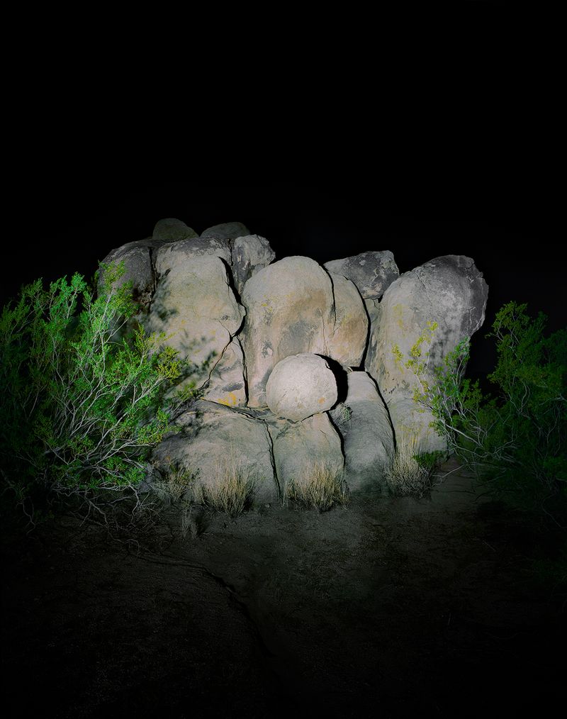 © Austin Irving - Joshua Tree National Park No. 3 - 4×5 Color Negative – Archival Lightjet Print on Dibond