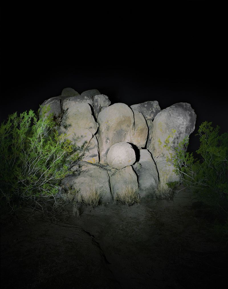 © Austin Irving - Joshua Tree National Park No. 3 - 4×5 Color Negative – Archival Lightjet Print on Dibond