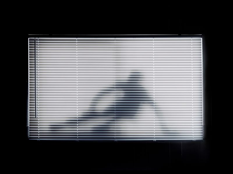 © Austin Irving - 08_Austin Lupin Lane, Mammoth Lakes, California, USA, 2022