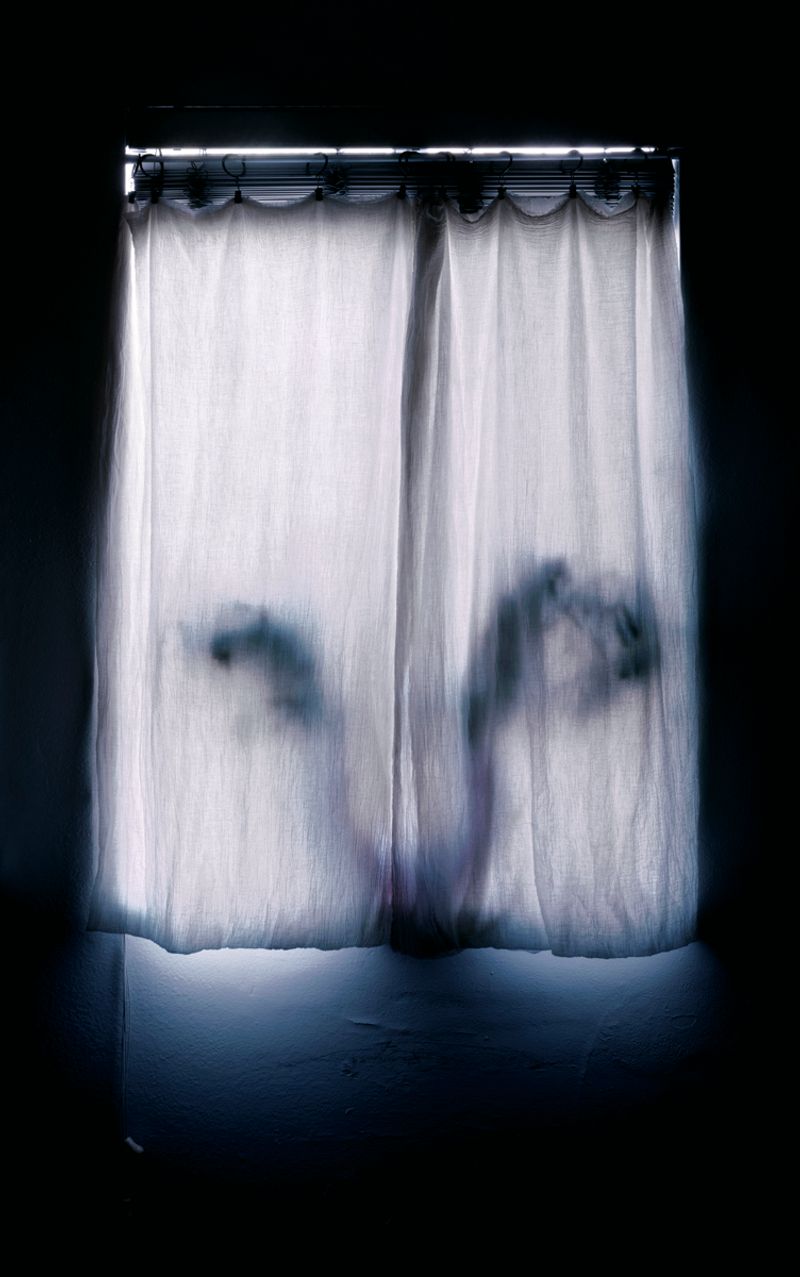 © Austin Irving - 11_Austin Summertime Lane, Culver City, California, USA, 2020