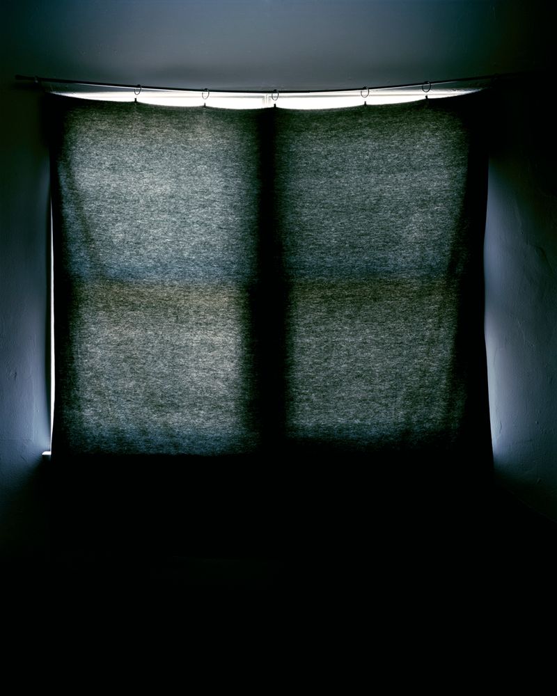 © Austin Irving - Echo Park, California, USA, 2015