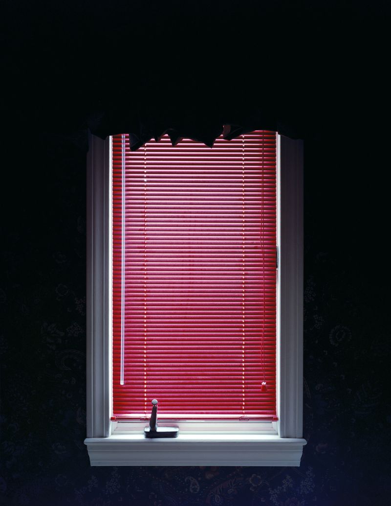 © Austin Irving - Merrick No. 1, New York, USA, 2009