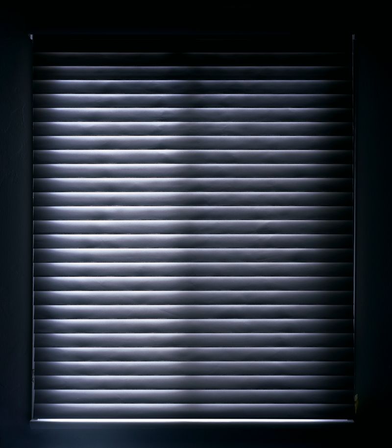 © Austin Irving - Santa Monica No. 2, California, USA, 2010