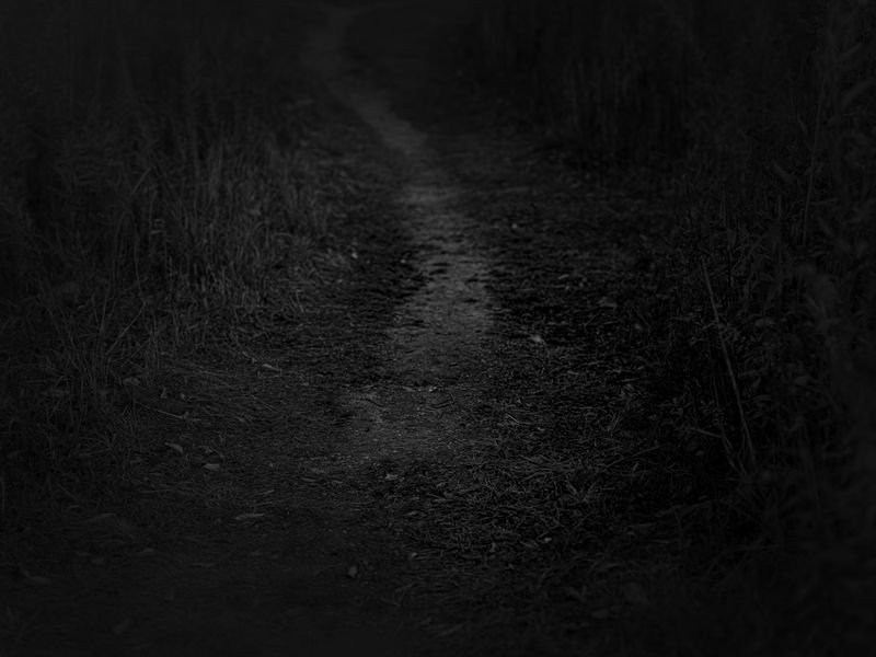© Stephen Clay - Shared Trail #6