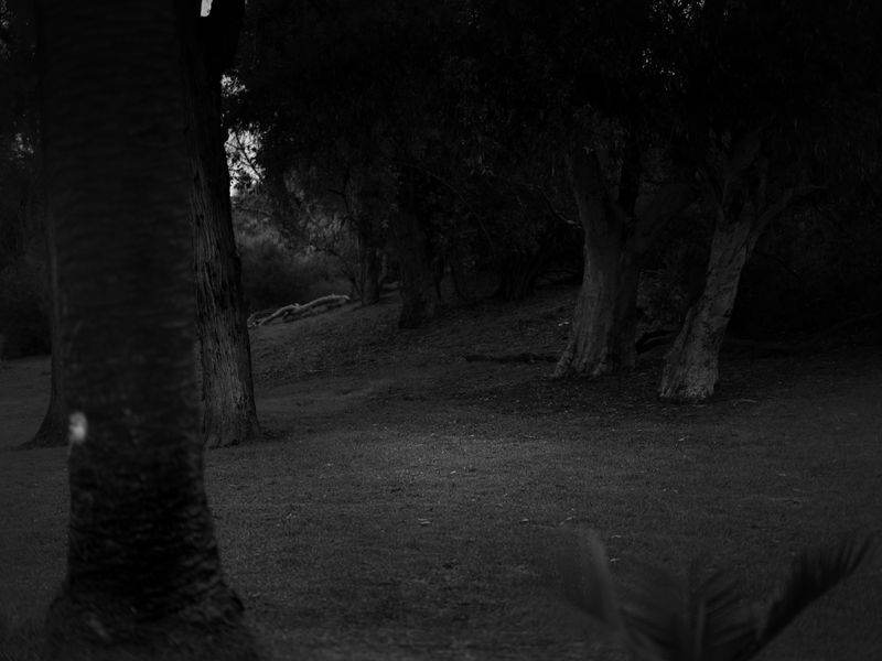 © Stephen Clay - Chavez Ravine #2