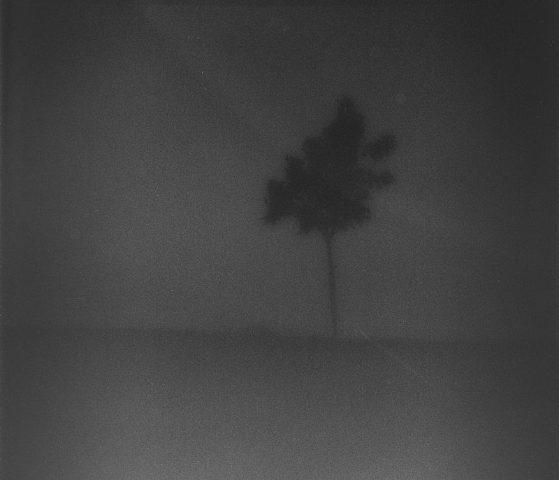 © Stephen Clay - Shared Memory pinhole #8