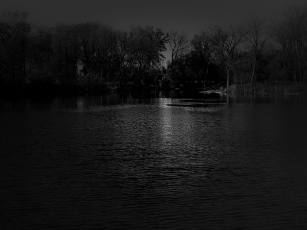 © Stephen Clay - Shared Memory #4