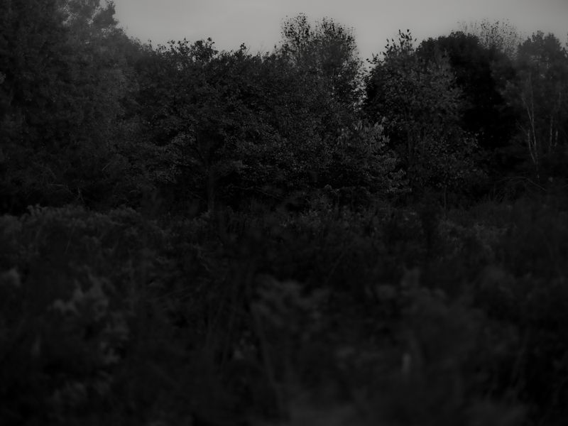 © Stephen Clay - Shared Memory #2