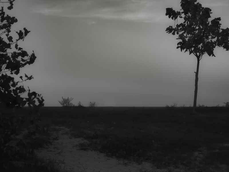 © Stephen Clay - Shared Memory #1