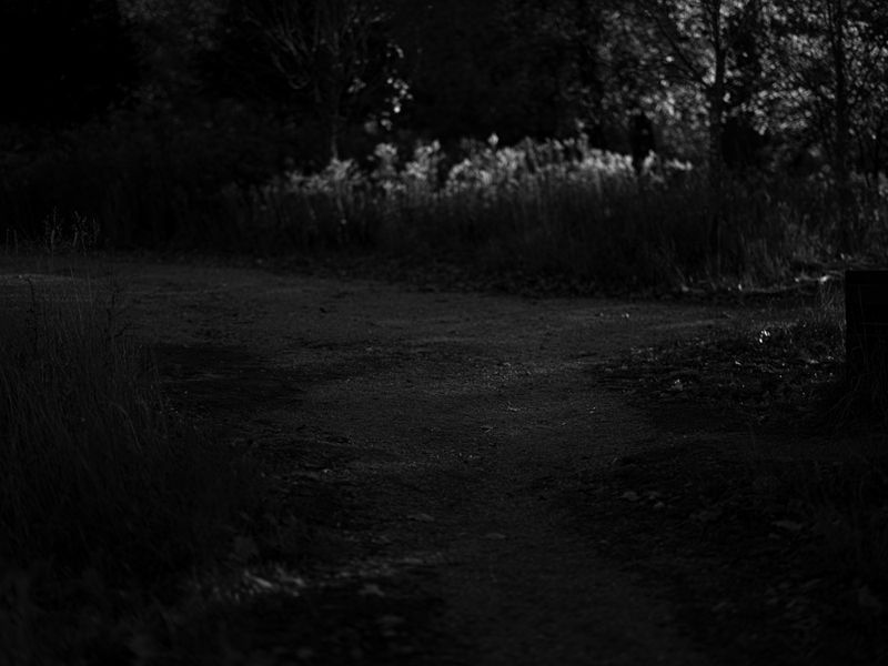 © Stephen Clay - Shared Memory #5