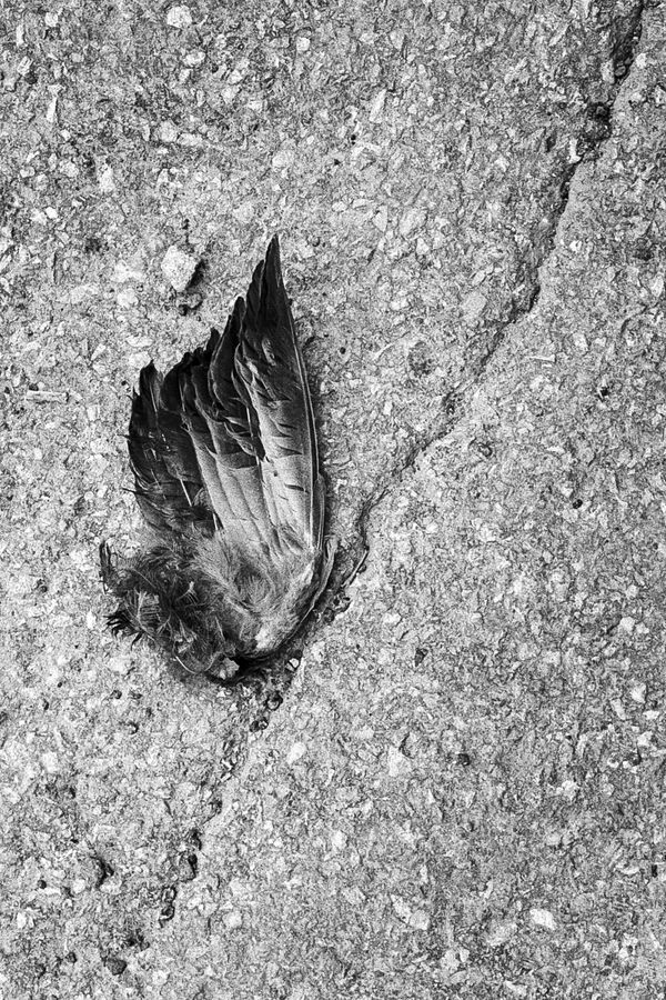 © Eddie Clybouw - Image from the this is not the beginning, this is not the end of the beginning, it’s perhaps the beginning of the end photography project