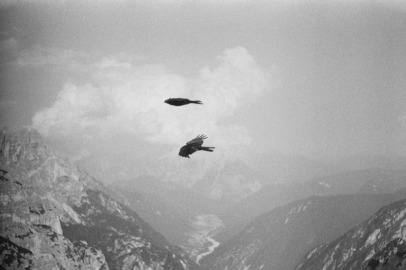 © Eddie Clybouw - Image from the this is not the beginning, this is not the end of the beginning, it’s perhaps the beginning of the end photography project