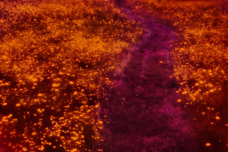 © Sasha Mongin - Image from the The Dying Man Who Would Not Die photography project
