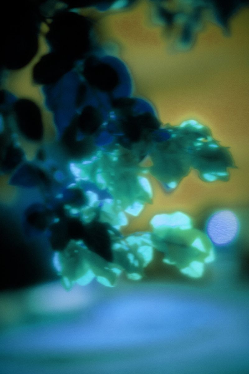 © Sasha Mongin - Image from the The Dying Man Who Would Not Die photography project