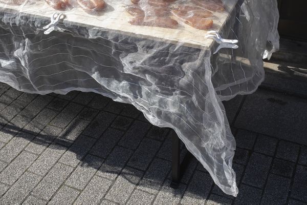 © V - Image from the Origami photography project