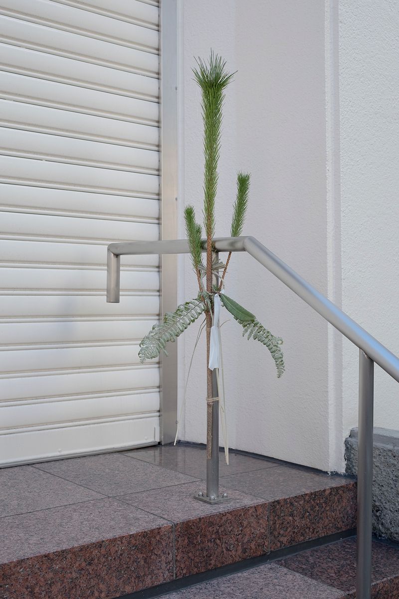 © V - Image from the Origami photography project