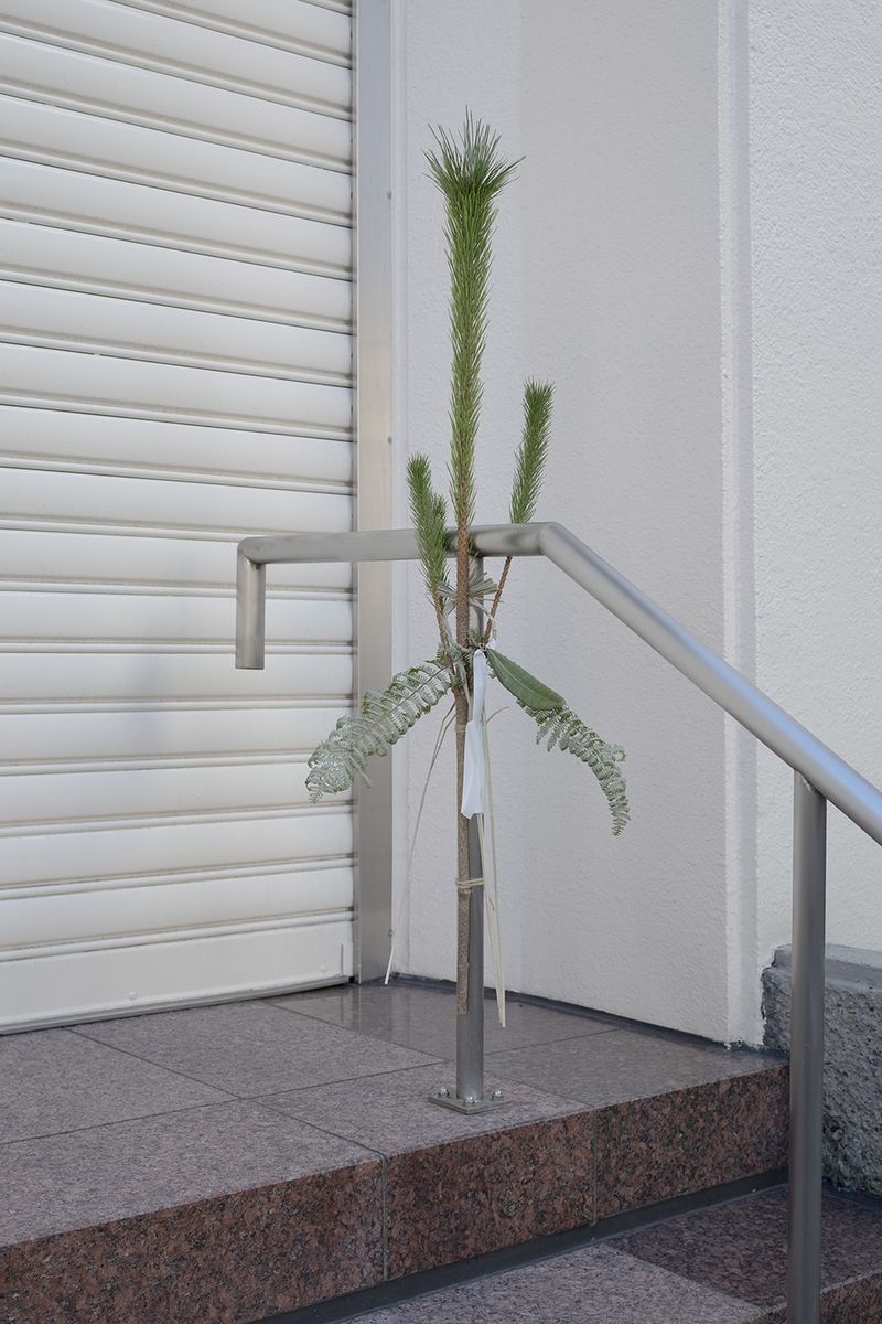 © V - Image from the Origami photography project