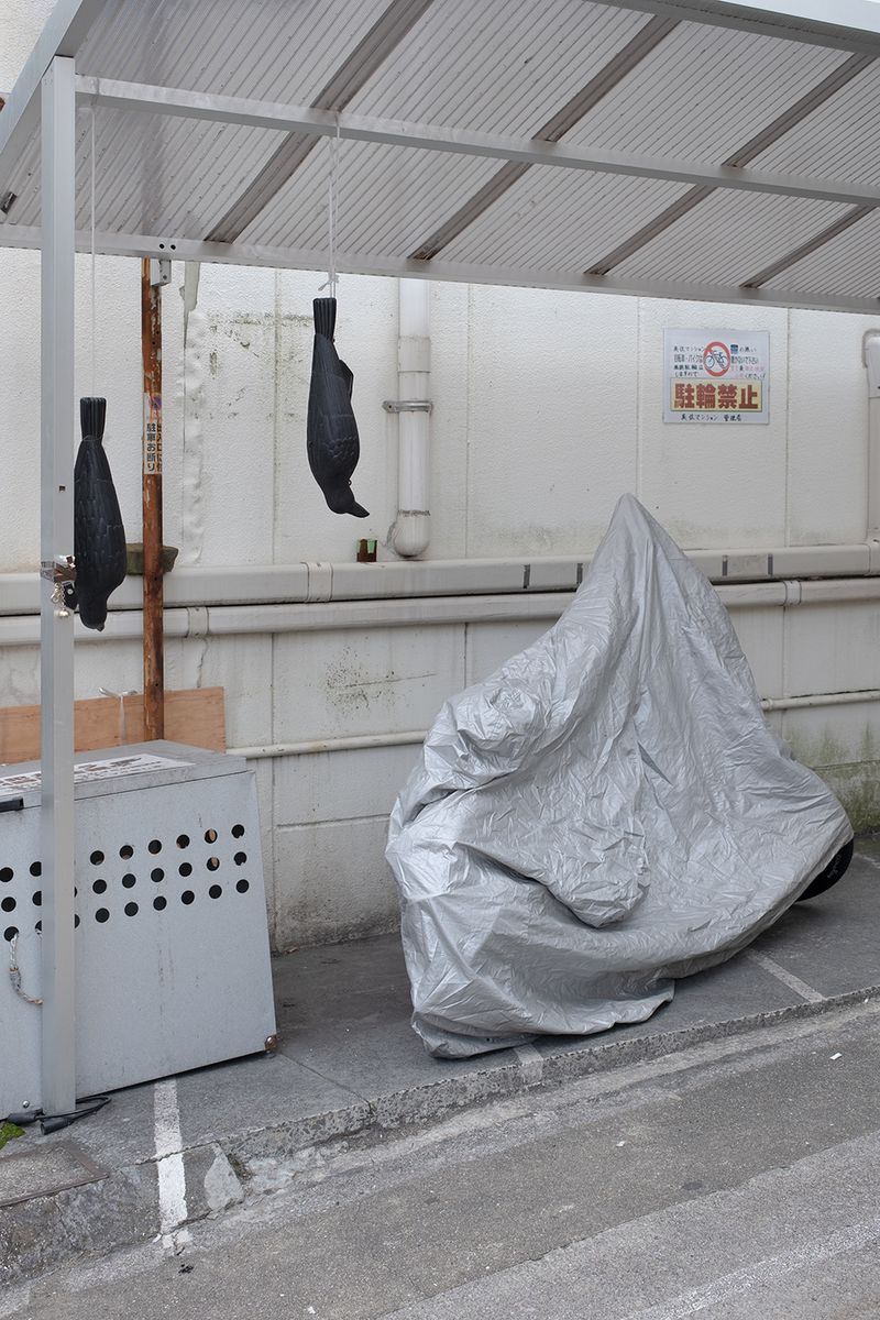 © V - Image from the Origami photography project