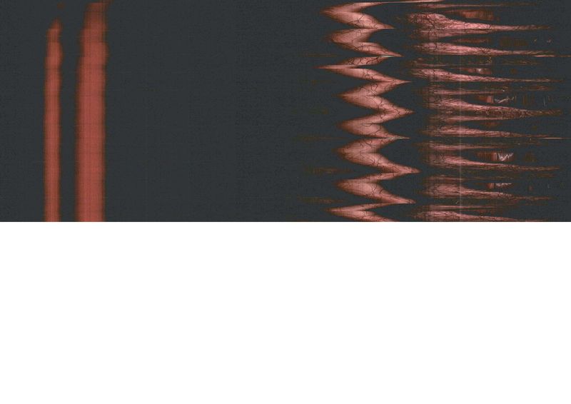 © V - Image from the A Lineage of Disqualified Knowledge (IV) photography project