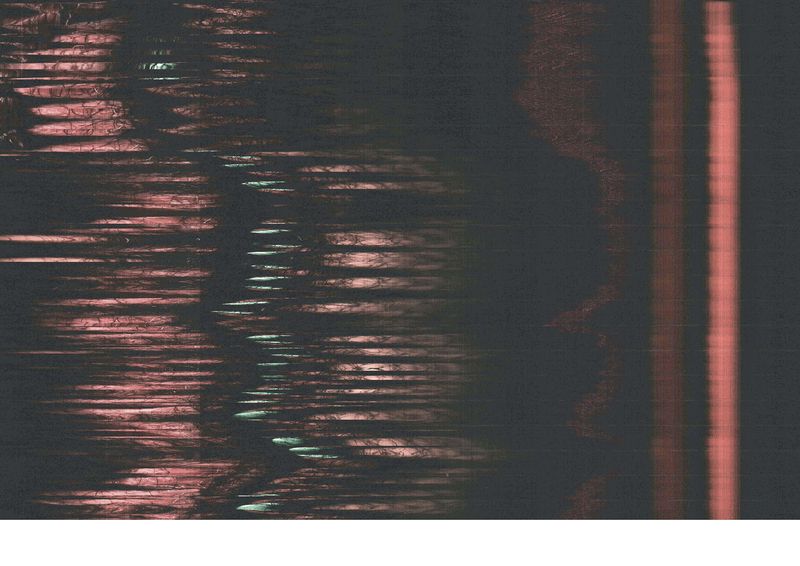 © V - Image from the A Lineage of Disqualified Knowledge (IV) photography project